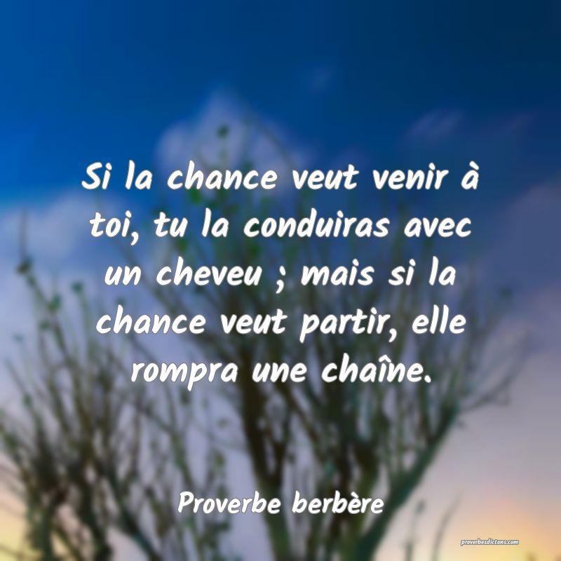 Si la chance veut venir à toi, tu la conduiras avec un cheveu ; mais si la chance veut partir, elle rompra une chaîne.