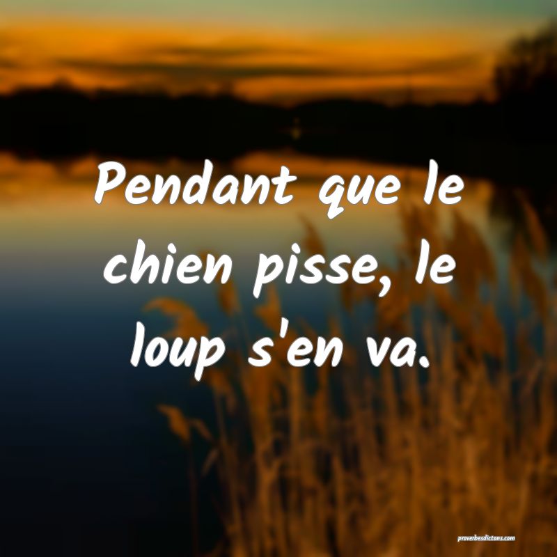 Pendant que le chien pisse, le loup s'en va.