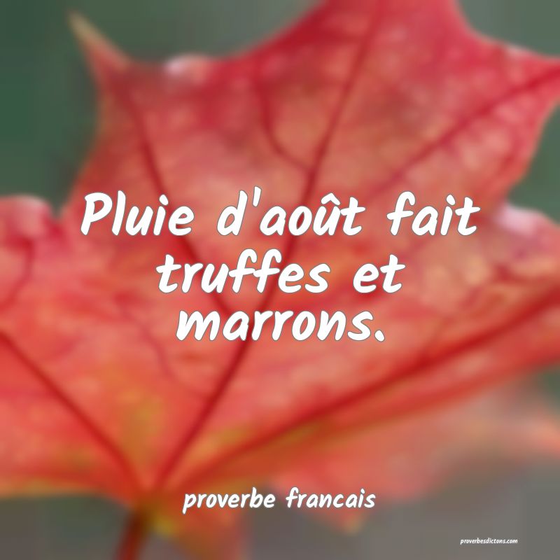Pluie d'août fait truffes et marrons.