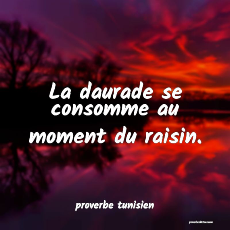 La daurade se consomme au moment du raisin.