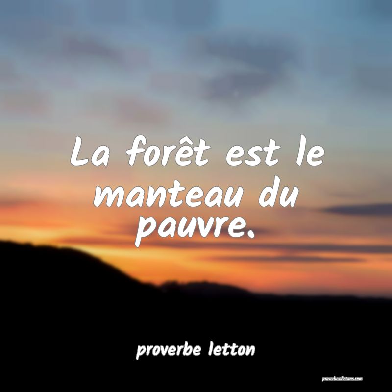  La forêt est le manteau du pauvre.