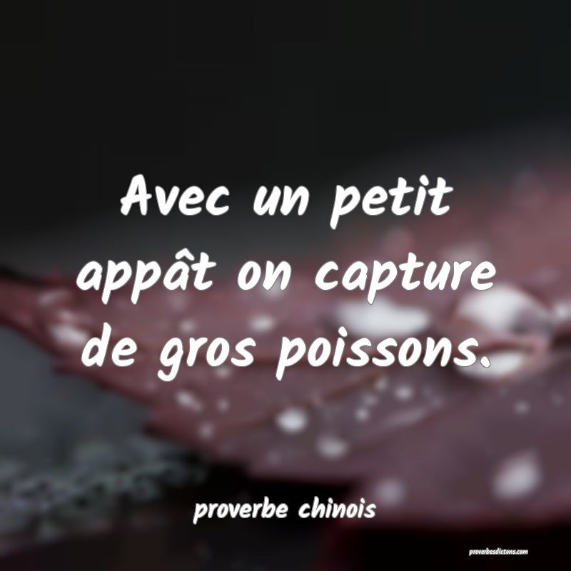 Avec un petit appât on capture de gros poissons.