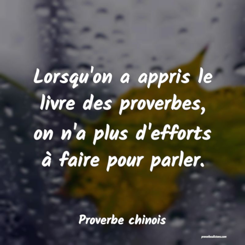 Lorsqu'on a appris le livre des proverbes, on n'a plus d'efforts à faire pour parler.