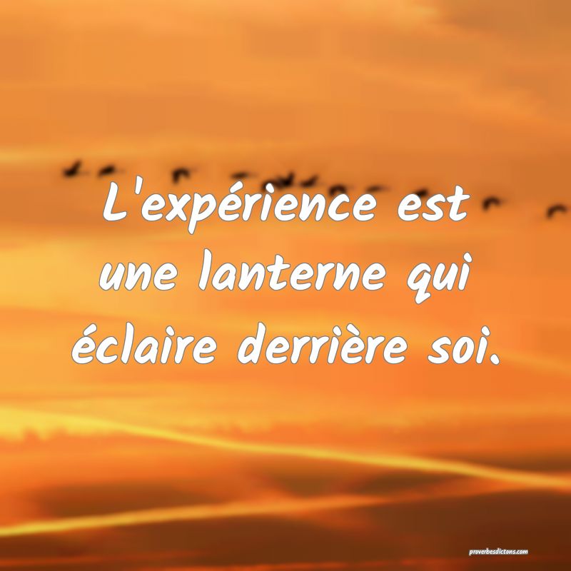 L'expérience est une lanterne qui éclaire derrière soi.