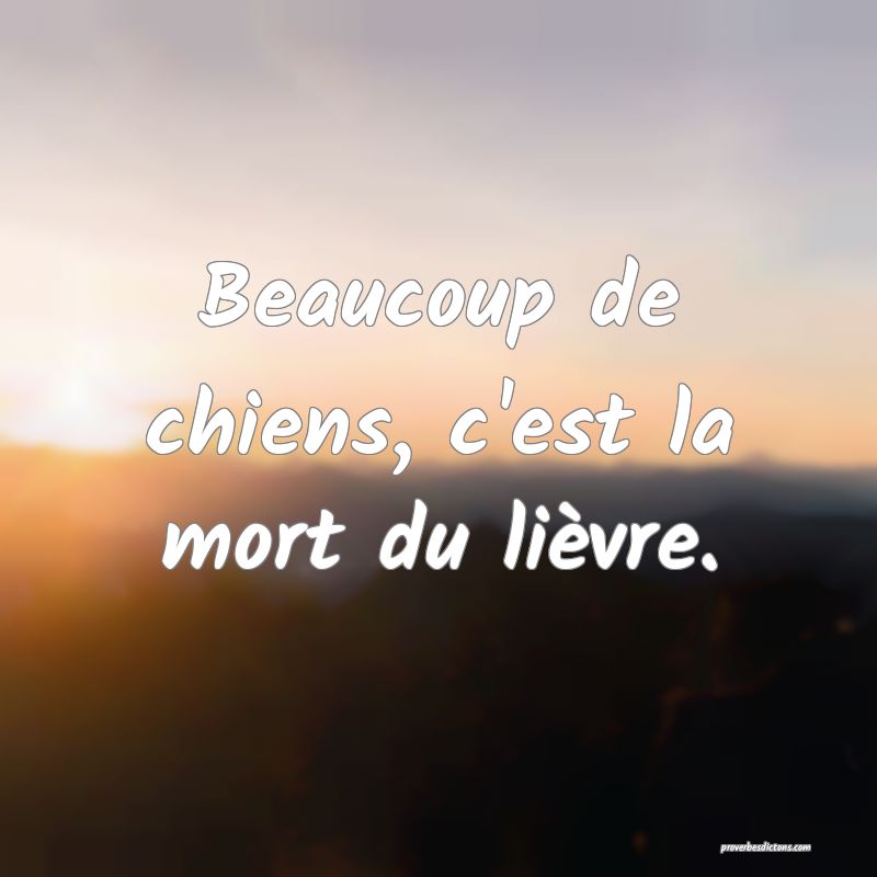 Beaucoup de chiens, c'est la mort du lièvre.