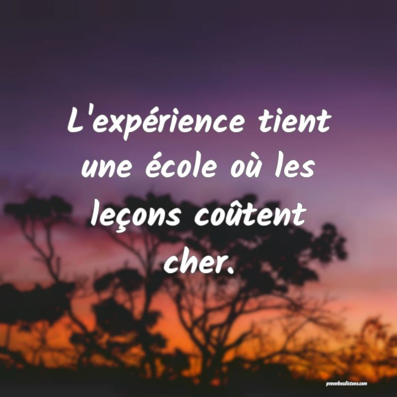 L'expérience tient une école où les leçons coûtent cher.