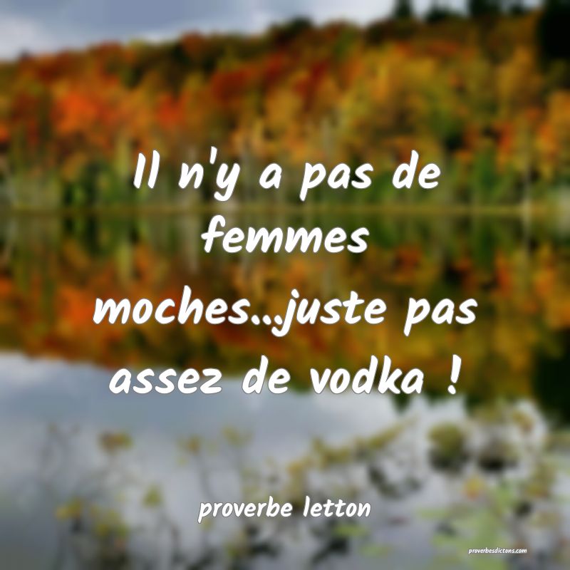 Il n'y a pas de femmes moches...juste pas assez de vodka !