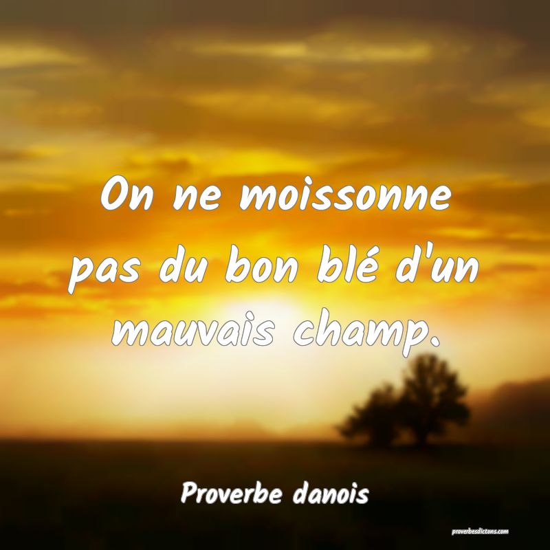 On ne moissonne pas du bon blé d'un mauvais champ.