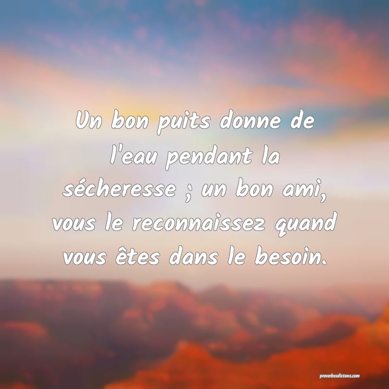 Un bon puits donne de l'eau pendant la sécheresse ; un bon ami, vous le reconnaissez quand vous êtes dans le besoin.