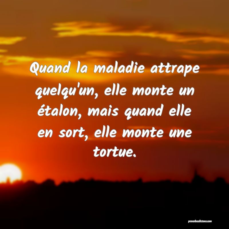 Quand la maladie attrape quelqu'un, elle monte un étalon, mais quand elle en sort, elle monte une tortue.