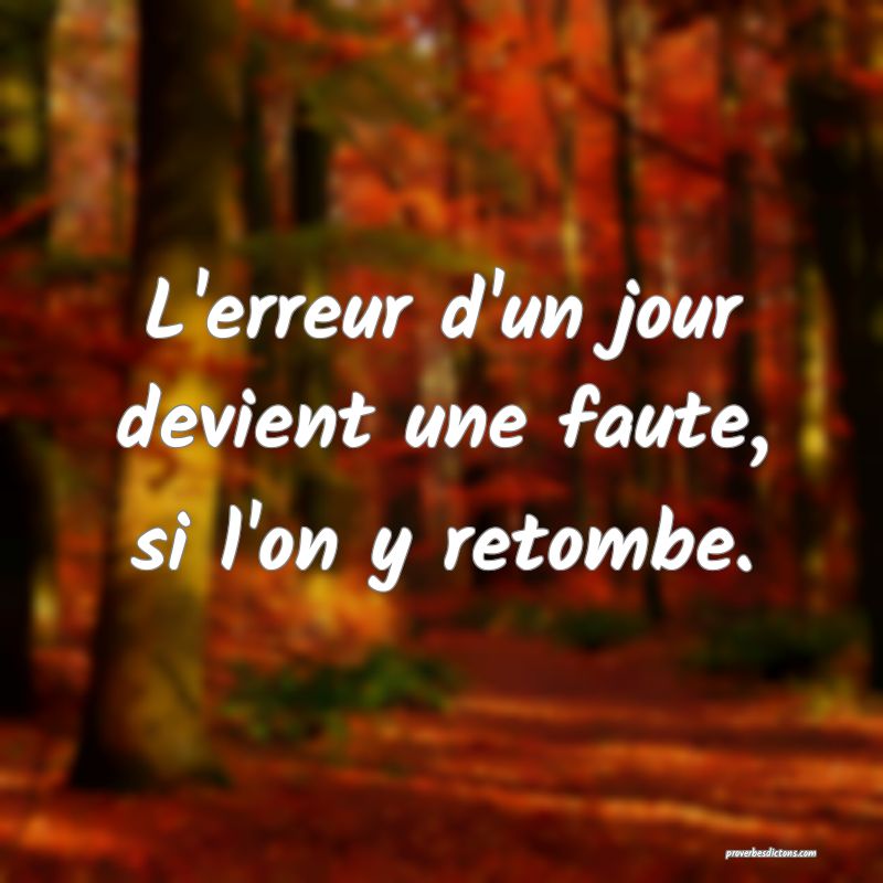 L'erreur d'un jour devient une faute, si l'on y retombe.