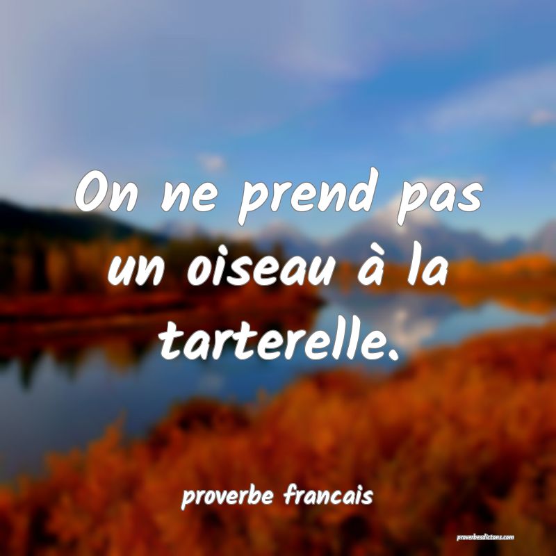 On ne prend pas un oiseau à la tarterelle.