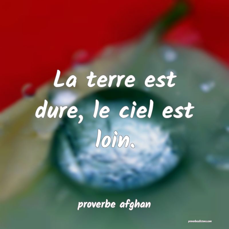  La terre est dure, le ciel est loin.