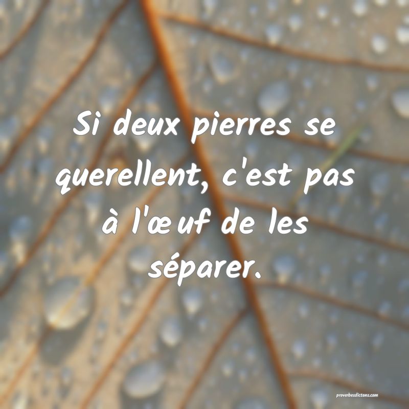 Si deux pierres se querellent, c'est pas à l'œuf de les séparer.