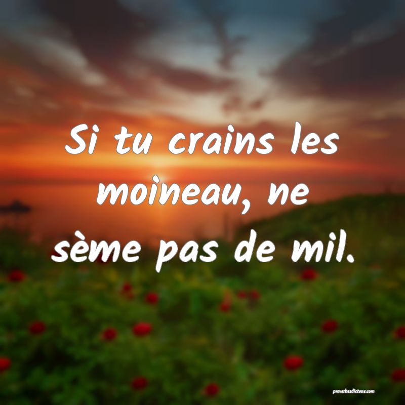 Si tu crains les moineau, ne sème pas de mil.