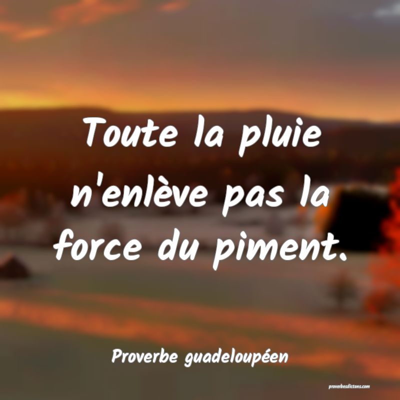 Toute la pluie n'enlève pas la force du piment.