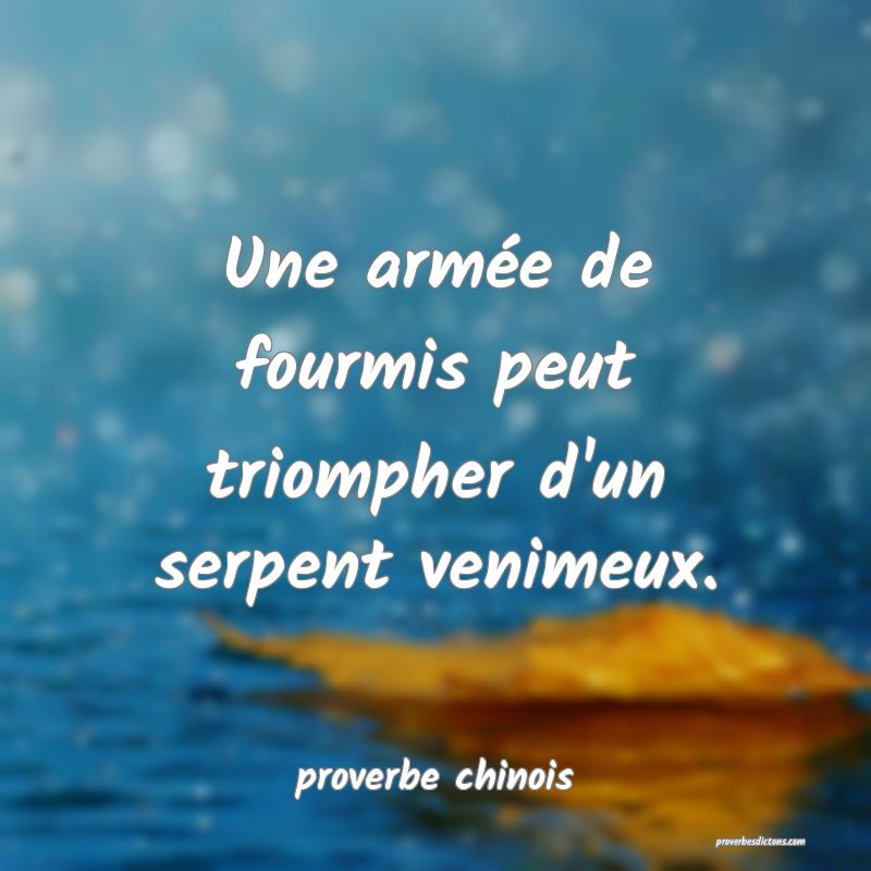 Une armée de fourmis peut triompher d'un serpent venimeux.