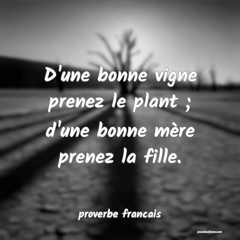 D'une bonne vigne prenez le plant ; d'une bonne mère prenez la fille.