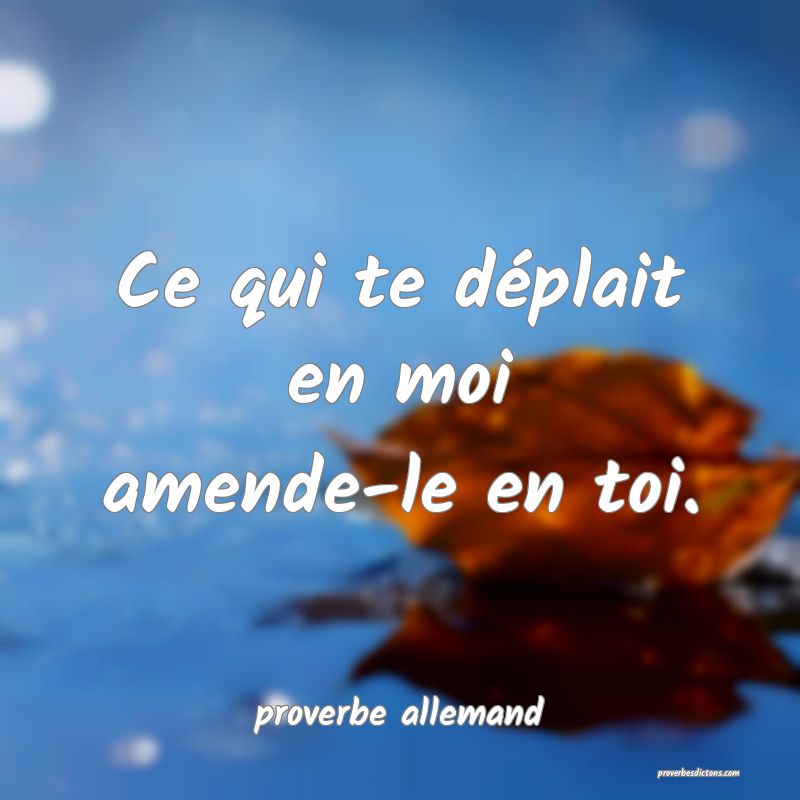 Ce qui te déplait en moi amende-le en toi.