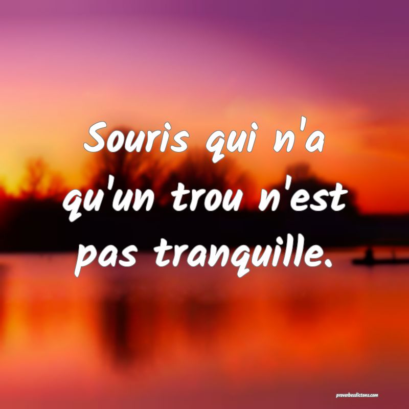 Souris qui n'a qu'un trou n'est pas tranquille.