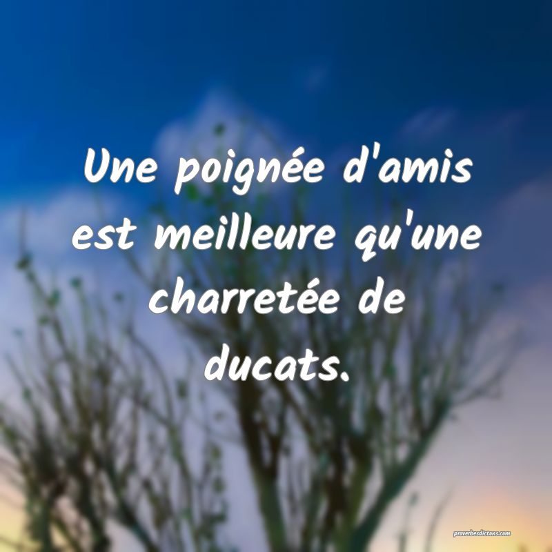 Une poignée d'amis est meilleure qu'une charretée de ducats.