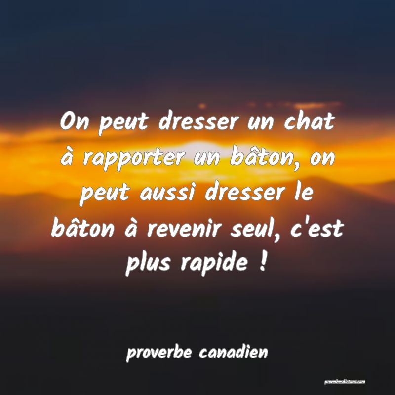 On peut dresser un chat à rapporter un bâton, on peut aussi dresser le bâton à revenir seul, c'est plus rapide !