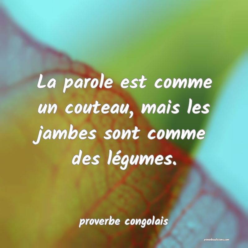  La parole est comme un couteau, mais les jambes sont comme des légumes.