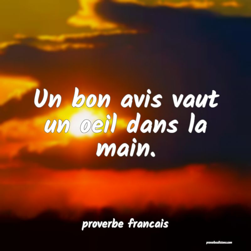 Un bon avis vaut un oeil dans la main.