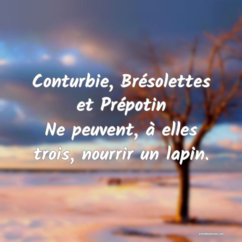 Conturbie, Brésolettes et Prépotin
Ne peuvent, à elles trois, nourrir un lapin.