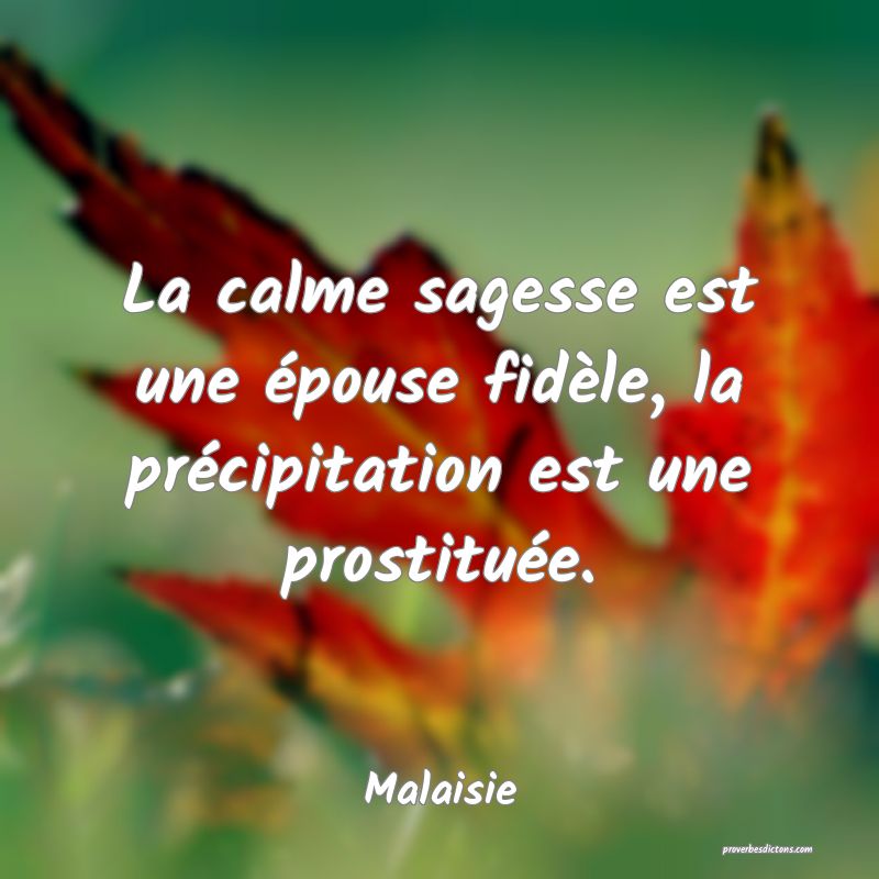 La calme sagesse est une épouse fidèle, la précipitation est une prostituée.