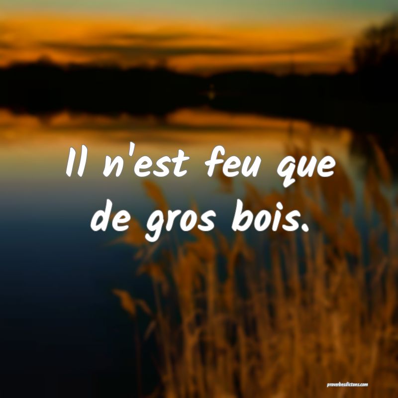Il n'est feu que de gros bois.