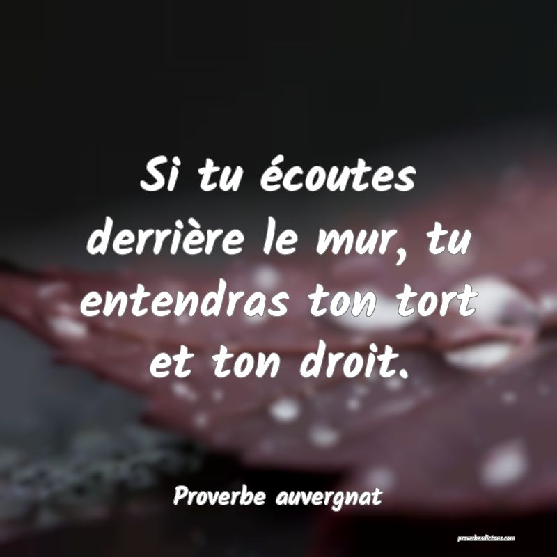 Si tu écoutes derrière le mur, tu entendras ton tort et ton droit.