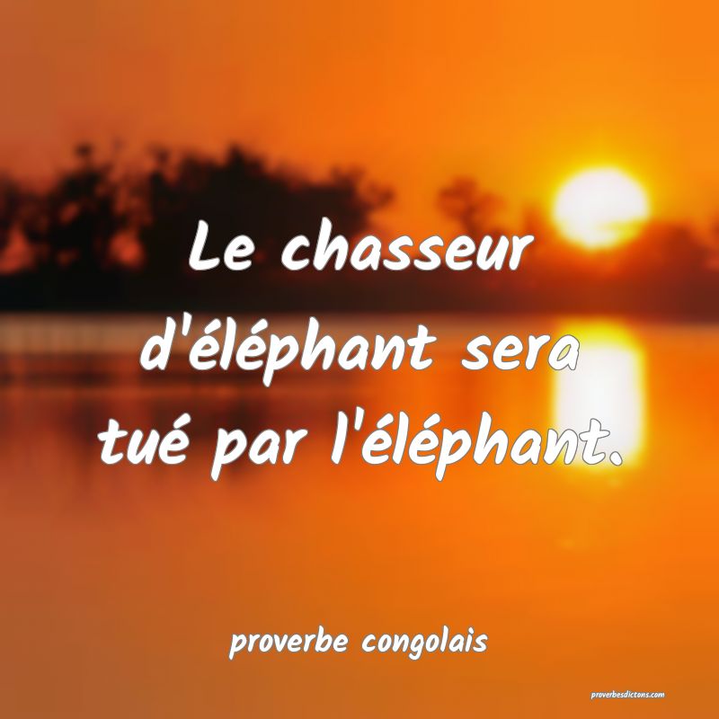  Le chasseur d'éléphant sera tué par l'éléphant.