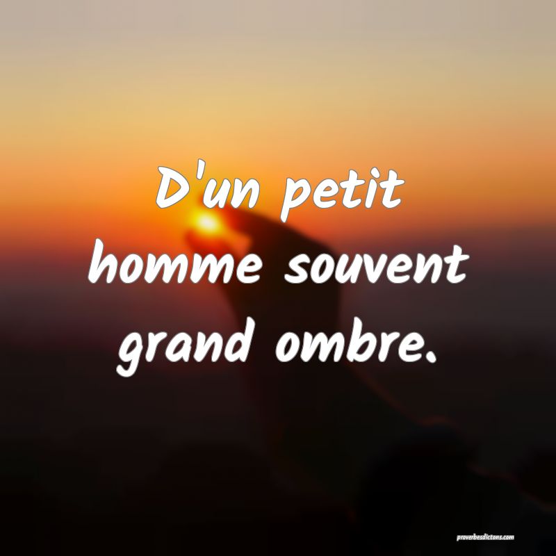 D'un petit homme souvent grand ombre.