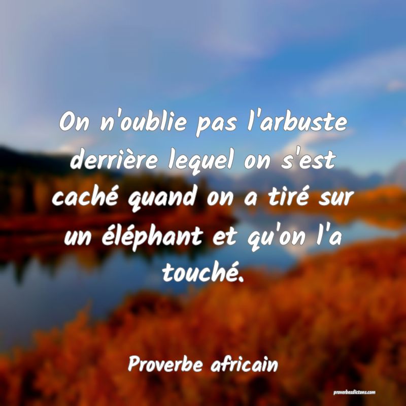 On n'oublie pas l'arbuste derrière lequel on s'est caché quand on a tiré sur un éléphant et qu'on l'a touché.