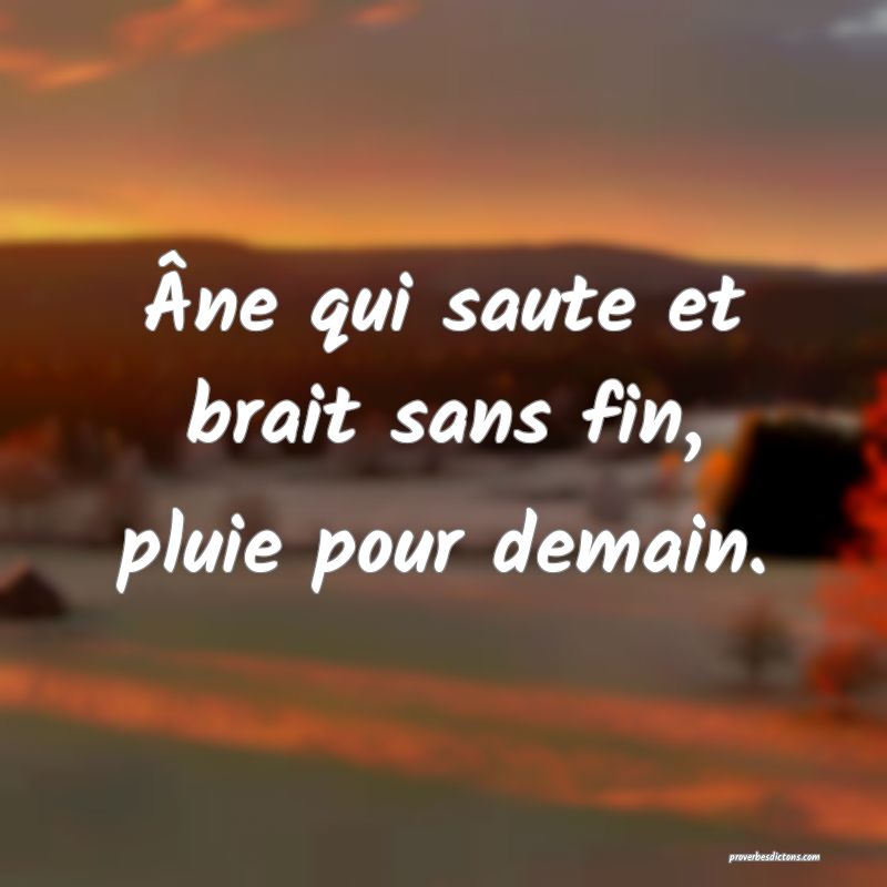 Âne qui saute et brait sans fin, pluie pour demain.