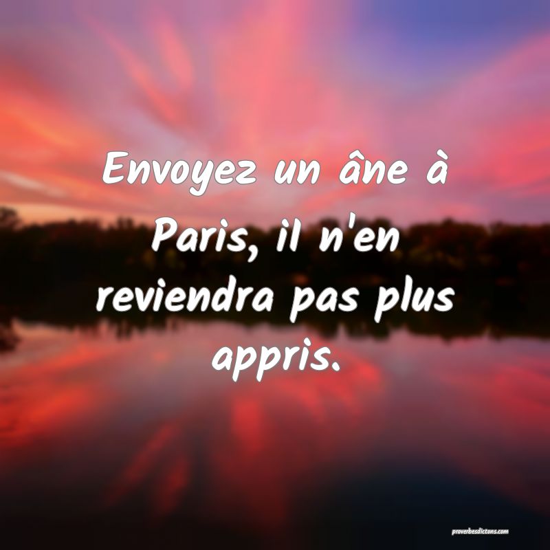 Envoyez un âne à Paris, iI n'en reviendra pas plus appris.