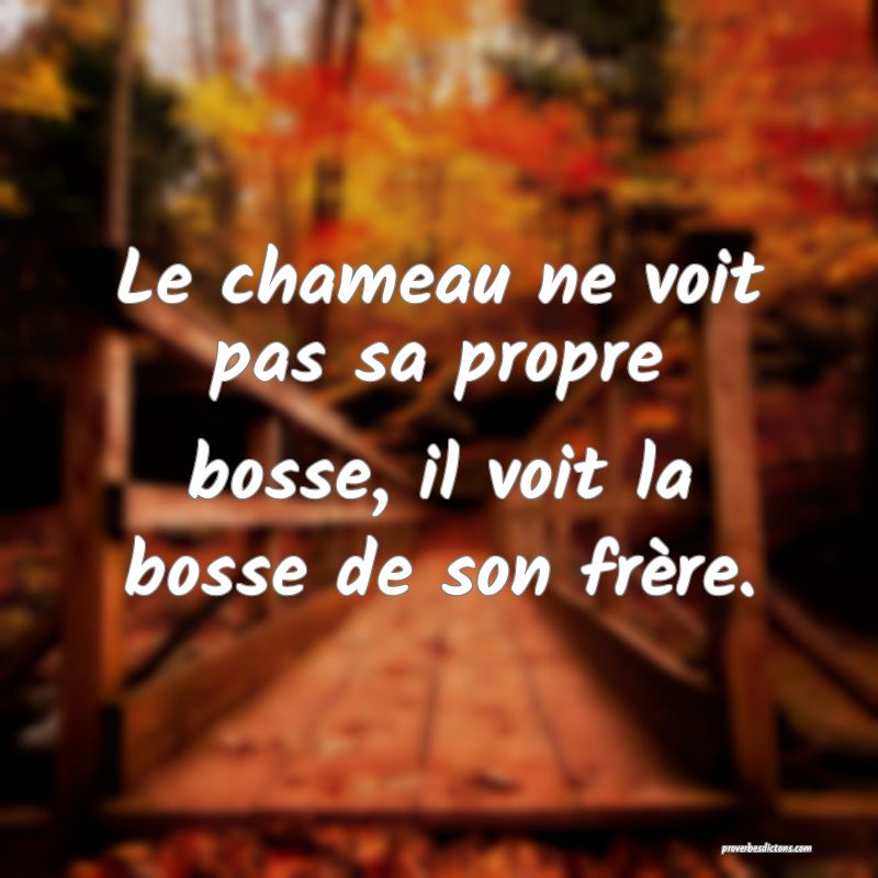 Le chameau ne voit pas sa propre bosse, il voit la bosse de son frère.