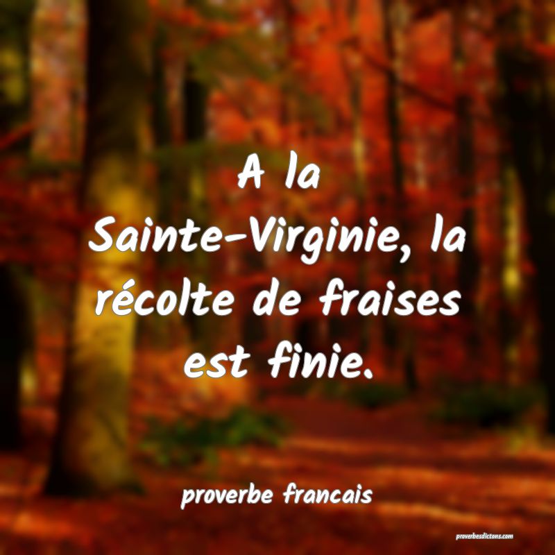 A la Sainte-Virginie, la récolte de fraises est finie.