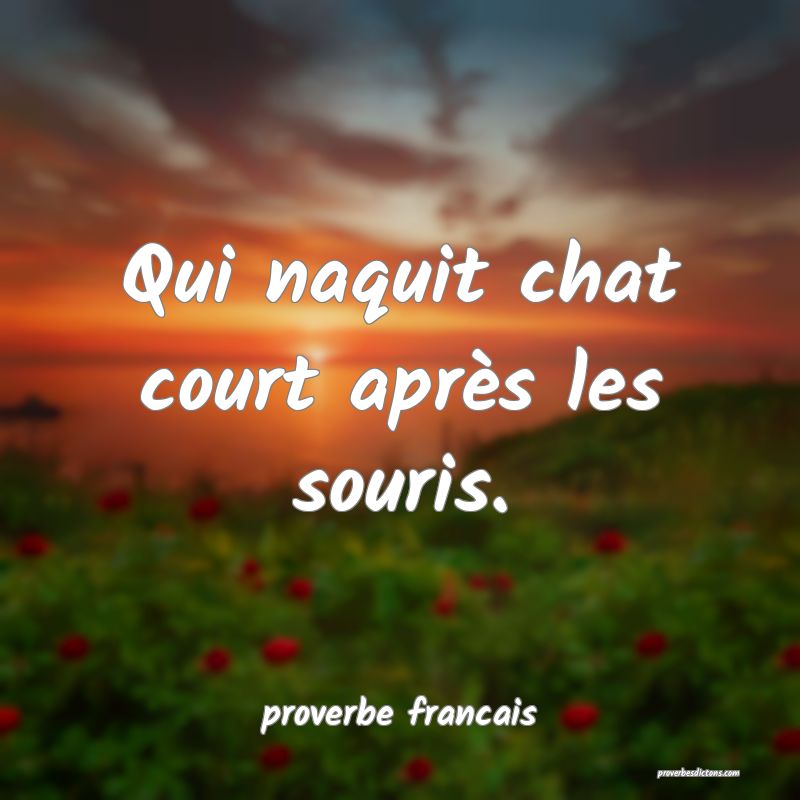 Qui naquit chat court après les souris.
