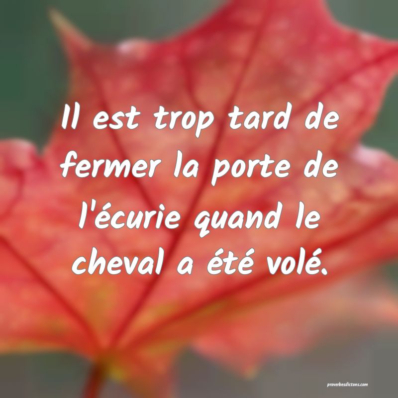 Il est trop tard de fermer la porte de l'écurie quand le cheval a été volé.