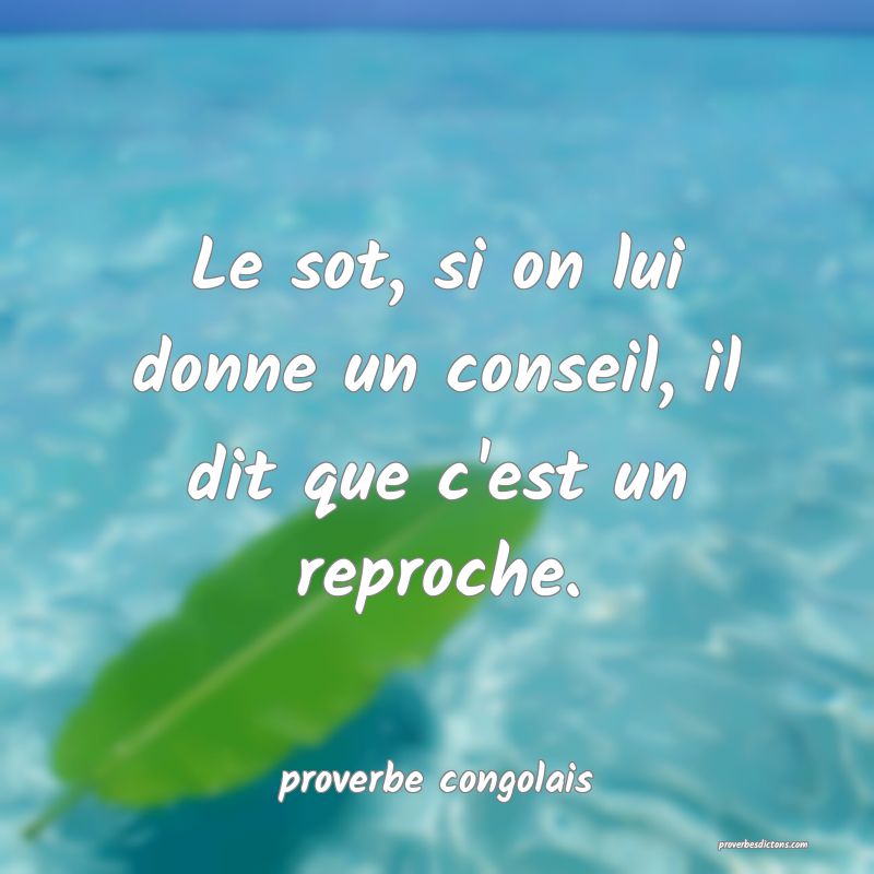 Le sot, si on lui donne un conseil, il dit que c'est un reproche.