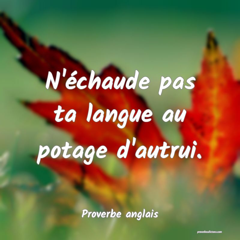 N'échaude pas ta langue au potage d'autrui.