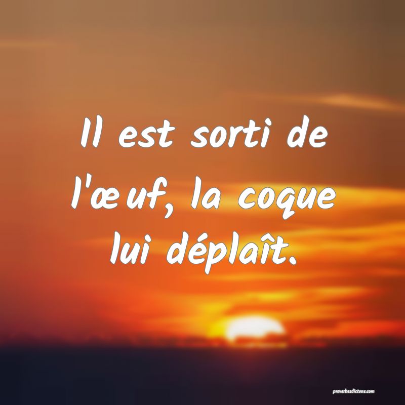 Il est sorti de l'œuf, la coque lui déplaît.