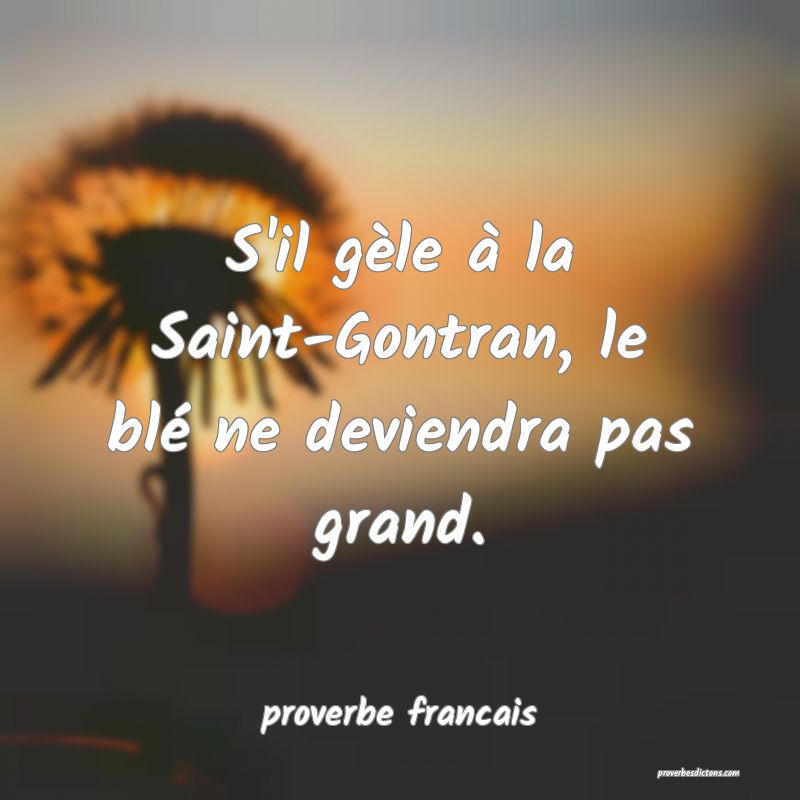S'il gèle à la Saint-Gontran, le blé ne deviendra pas grand.