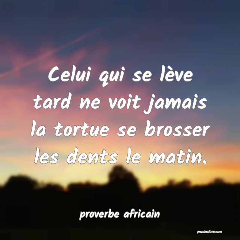 Celui qui se lève tard ne voit jamais la tortue se brosser les dents le matin.