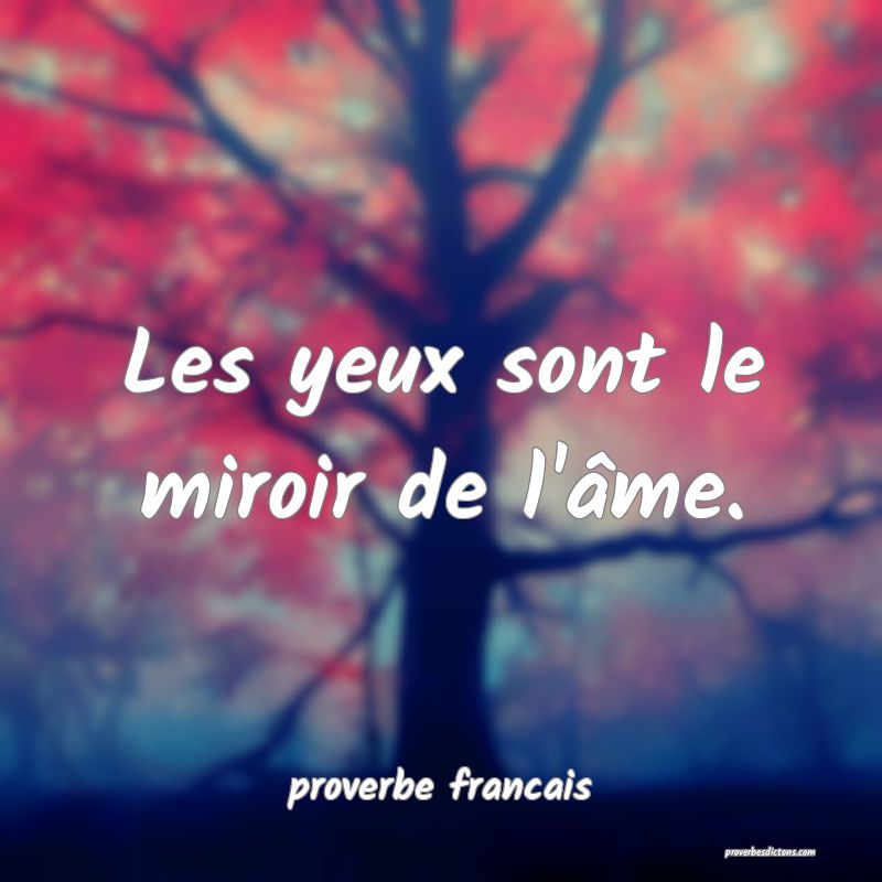 Les yeux sont le miroir de l'âme.