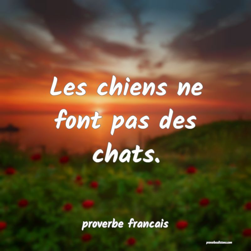 Les chiens ne font pas des chats.