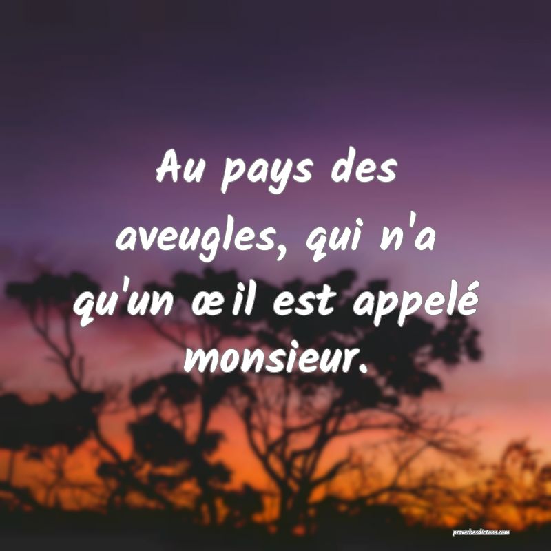 Au pays des aveugles, qui n'a qu'un œil est appelé monsieur.