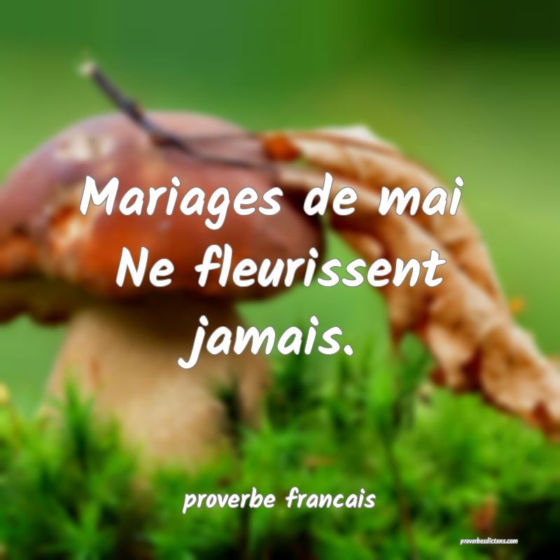 Mariages de mai 
Ne fleurissent jamais.